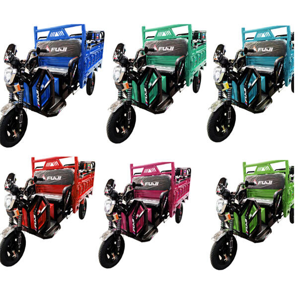 E-Cargo Trike의 사용