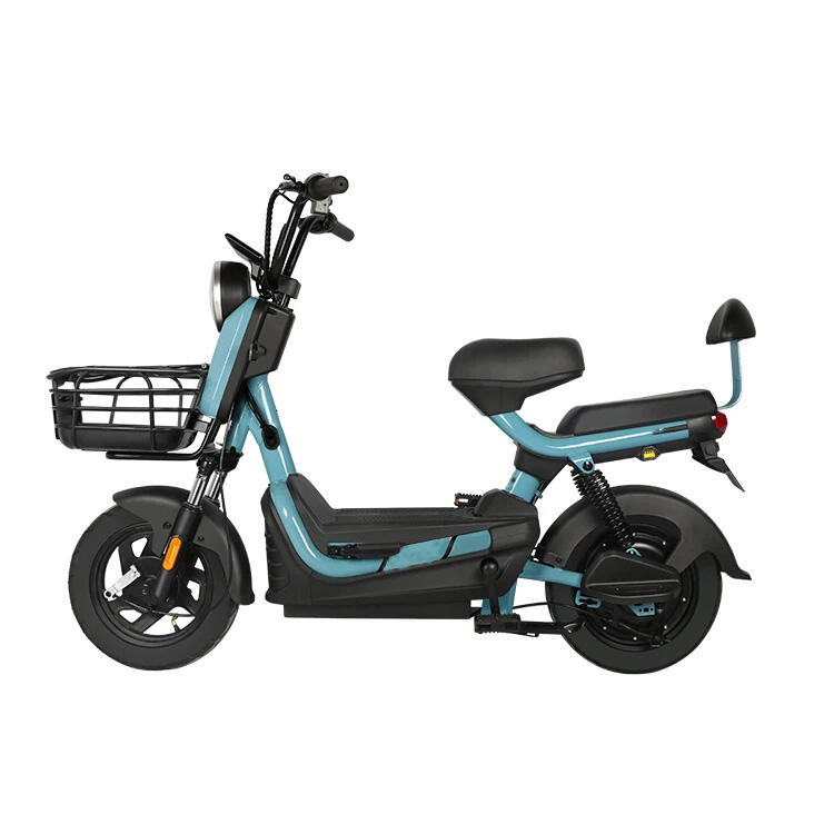 Electric Scooter Bike