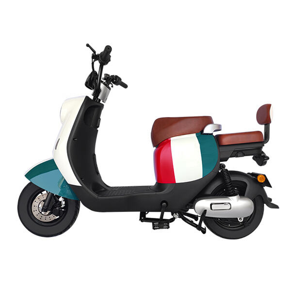 Security, Use, and Maintenance of Best Electric Moped for Adults