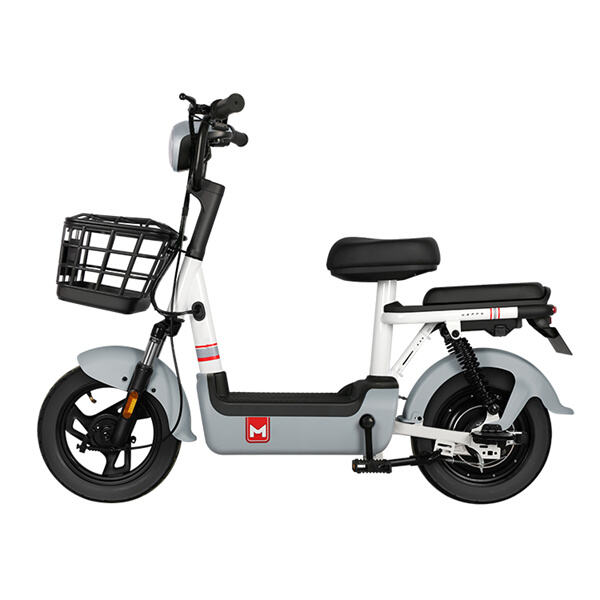 How to Make Use Of Scooter for Touring?
