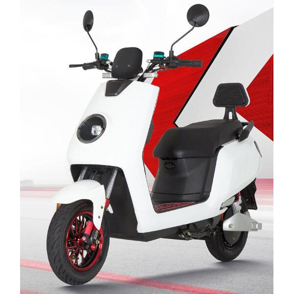 Security of Electric Bike Scooty