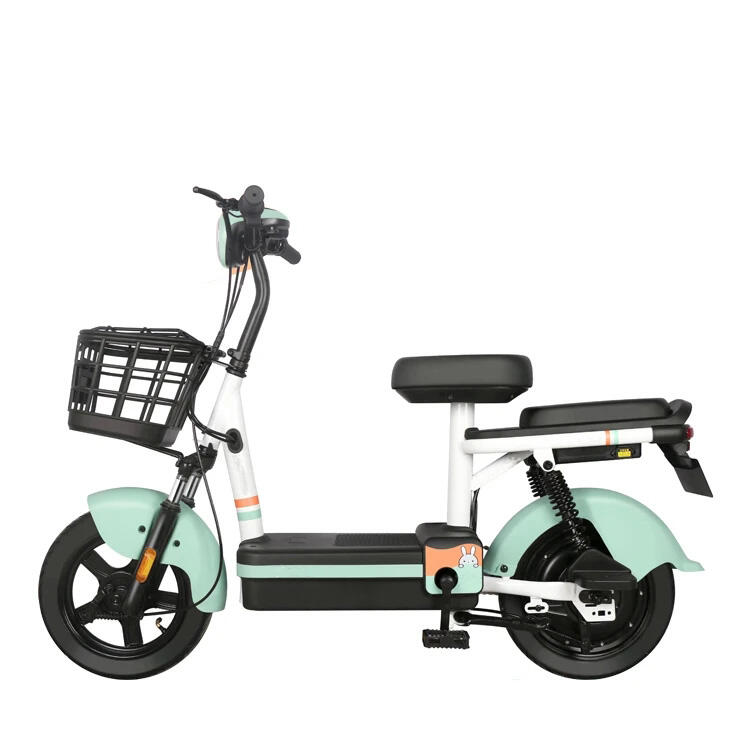 Batterie au plomb gros scooter vélo électrique