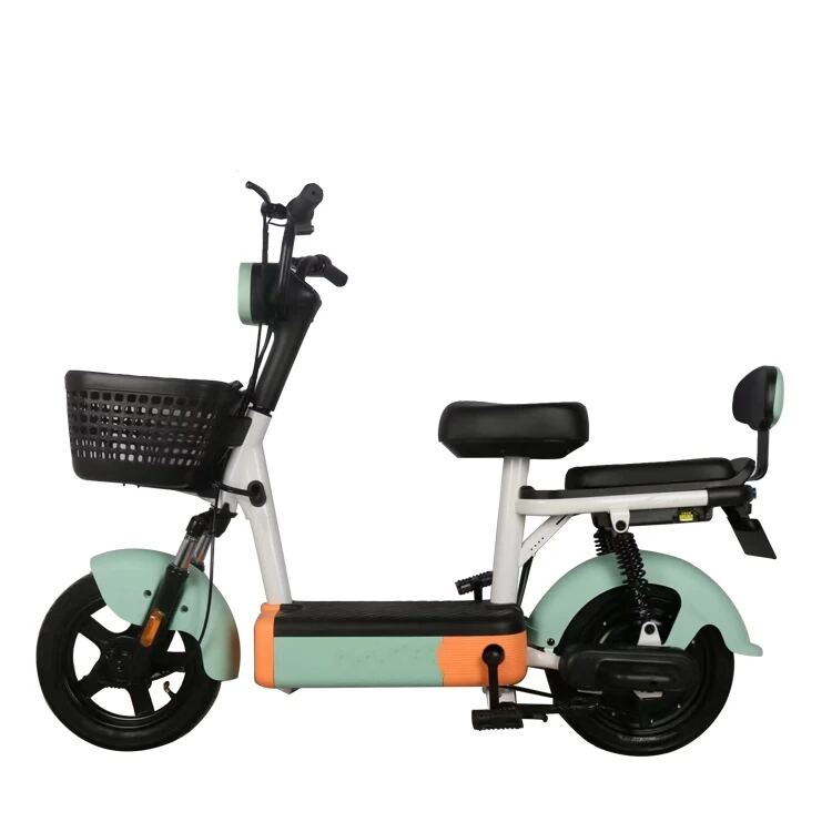 Classic New style Electric bicycle
