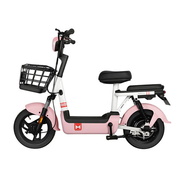 Safety and Usage Of Scooters for Ladies with Short Height