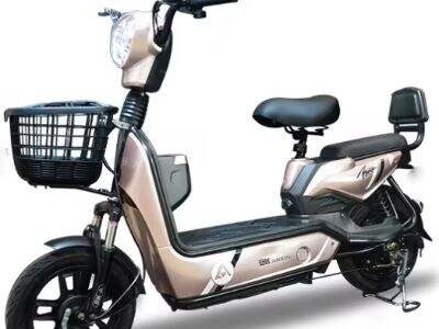 The best-selling electric two wheeler for Mexico