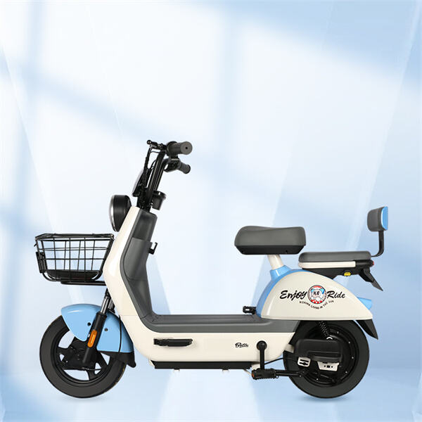 Security of Electric Scooters with Cargo