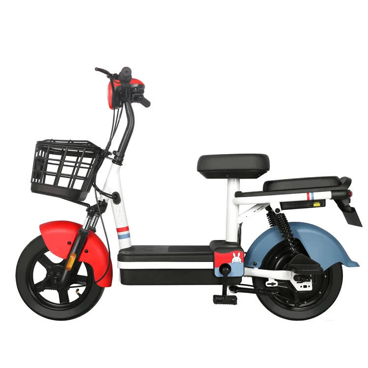 Fashion and Leisure Electric bike for adults