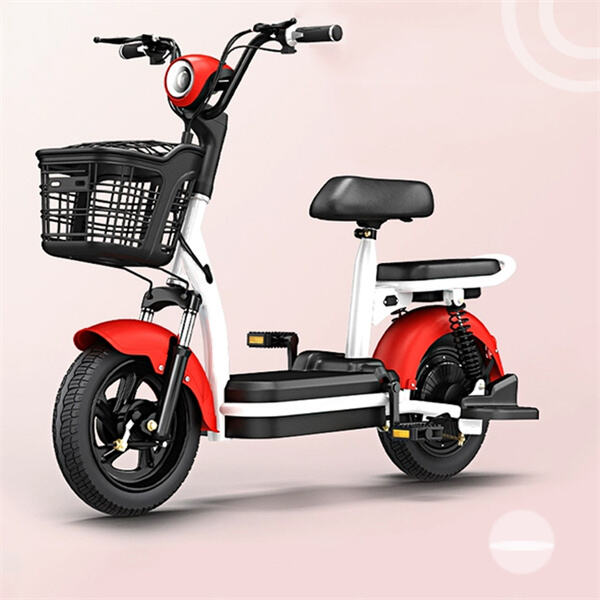 Use Electric scooter for Ladies