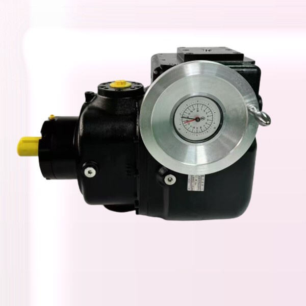 Belirli üretim ihtiyaçlarını karşılamak üzere özelleştirilebilir dozaj pompa seçenekleri