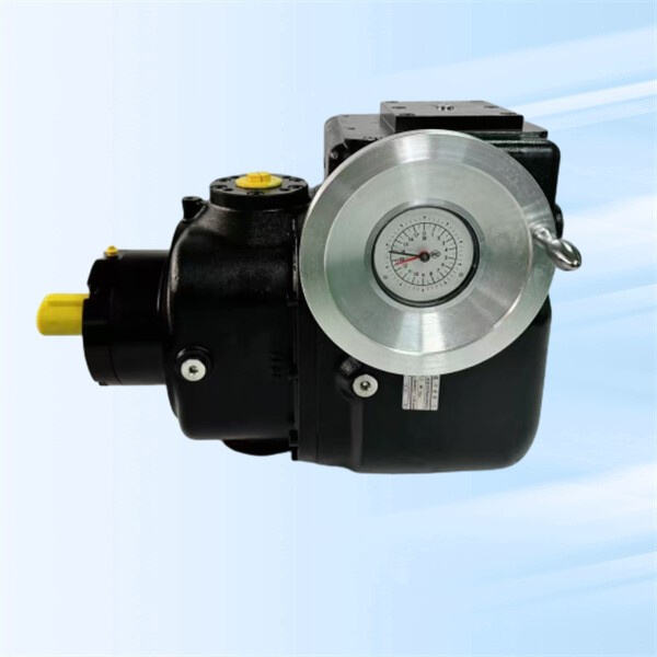 Büyük ölçekli işlemlerde hassas dozaj için maliyet açısından etkili çözüm