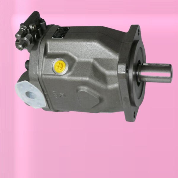 I besuar nga blerësit mayoristë në mbarë botën për cilësinë superiore dhe shërbimin