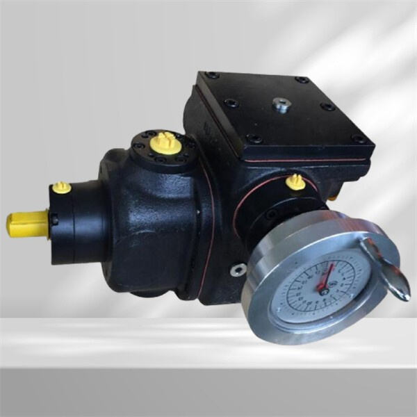 Yaygın diyafram pompa sorunlarını kolayca nasıl giderirsiniz