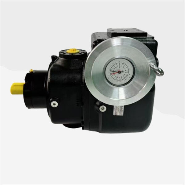 Solutions de pompage efficaces et rentables disponibles