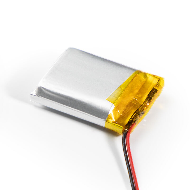 Trustworthy supplier with a proven track record of customer satisfaction