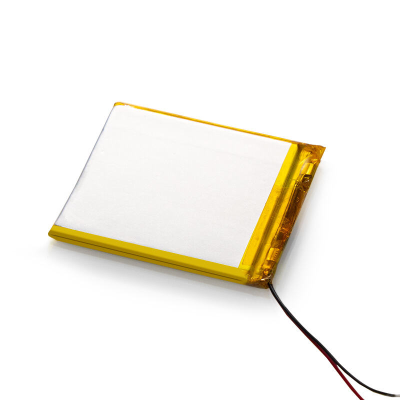 Elevate Your Business with Reliable Lithium Polymer Battery Solutions