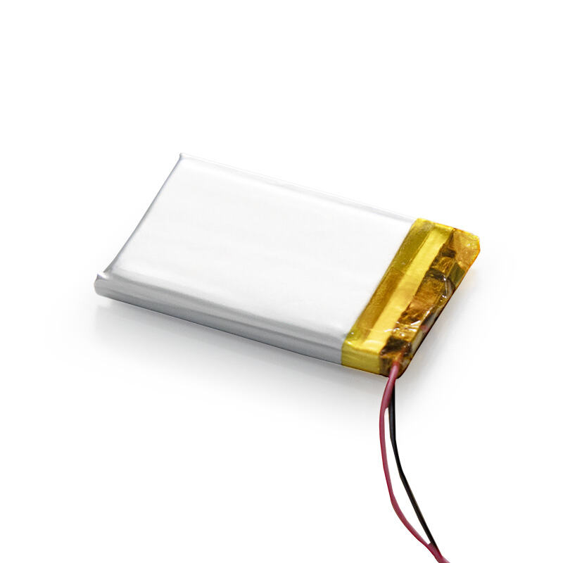 Stay powered on the go with our reliable polymer power bank