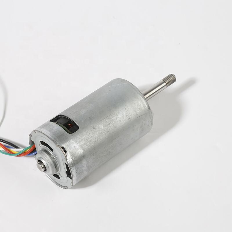 BL5285 24V High Torque Brushless DC Motor for Lawn Mower Robot factory