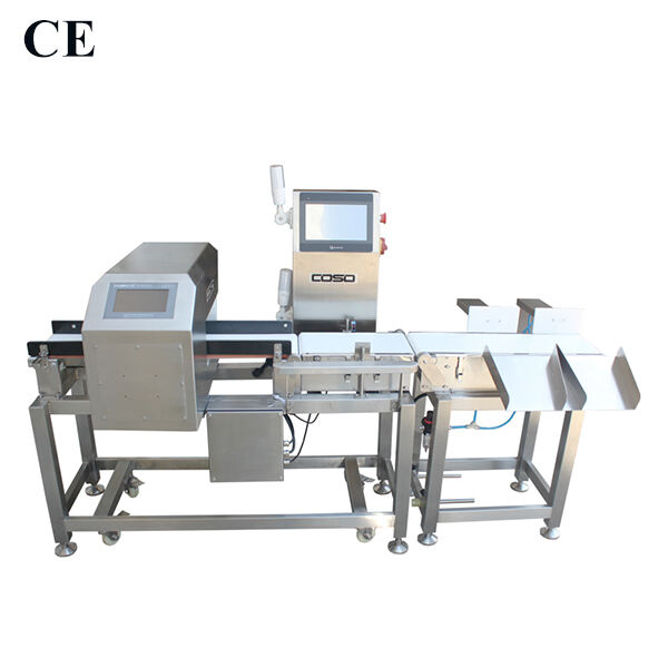 Security in Checkweigher Price