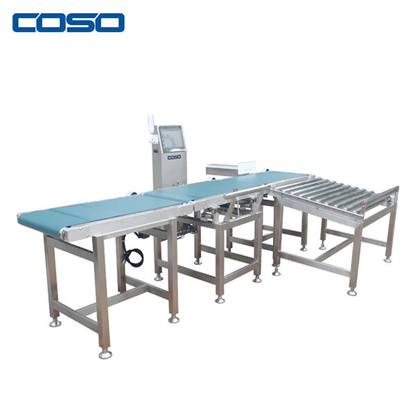 Features of Conveyor Scales