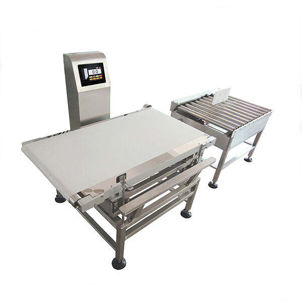 Innovation in Conveyor Weighing Machines