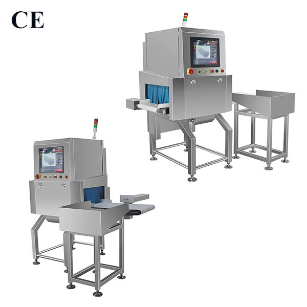 Security of X-Ray Inspection Systems