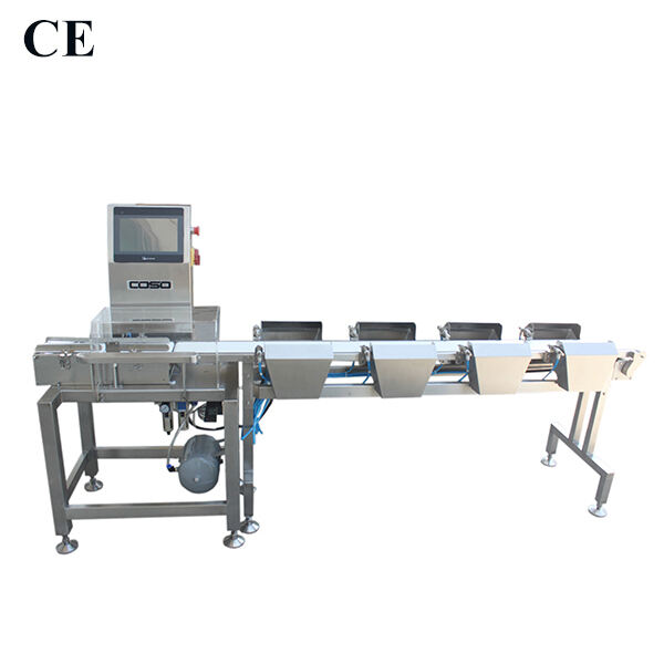 Innovation in Checkweigher manufacturers: