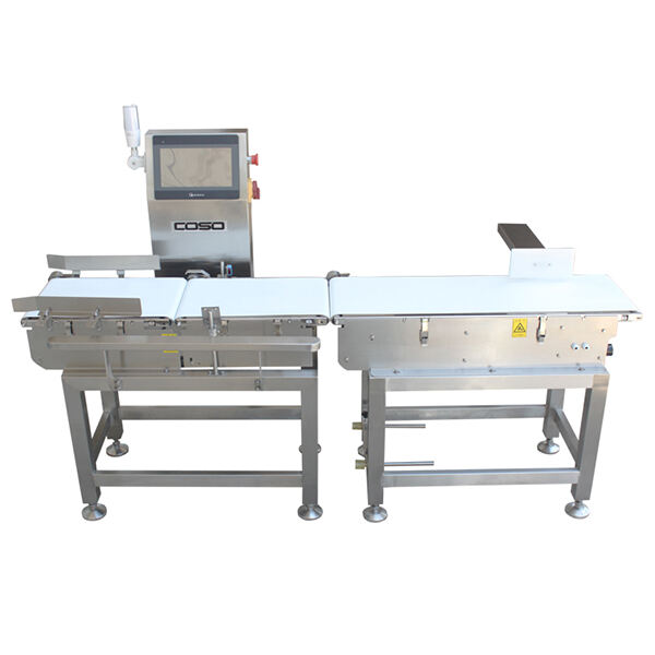 Security precautions in Weighing Conveyor: