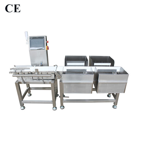 Protection of High Speed Checkweigher