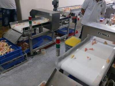 कन्वेयर बेल्ट बनाम पाइपलाइन फूड मेटल डिटेक्टर: किसे चुनें?