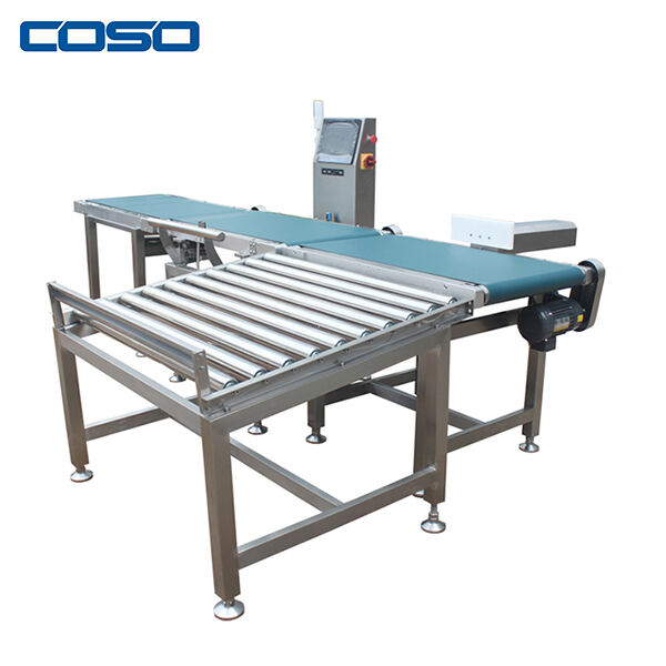 Safety precautions in Conveyor Scales