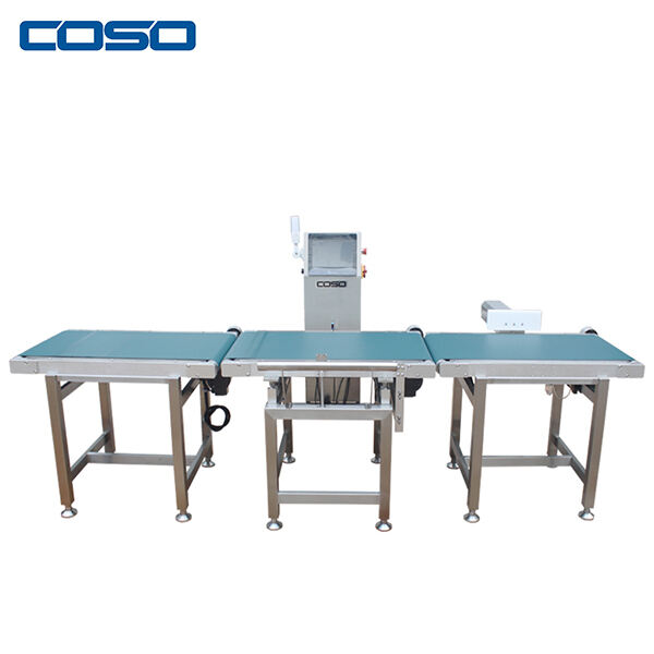 Security of Conveyor Belt Scales