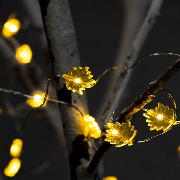 Bedazzle Your Home with Twinkling Led Fairy Lights