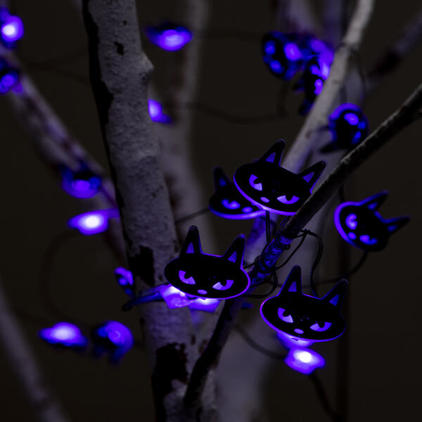 Create a cozy ambiance with USB fairy lights