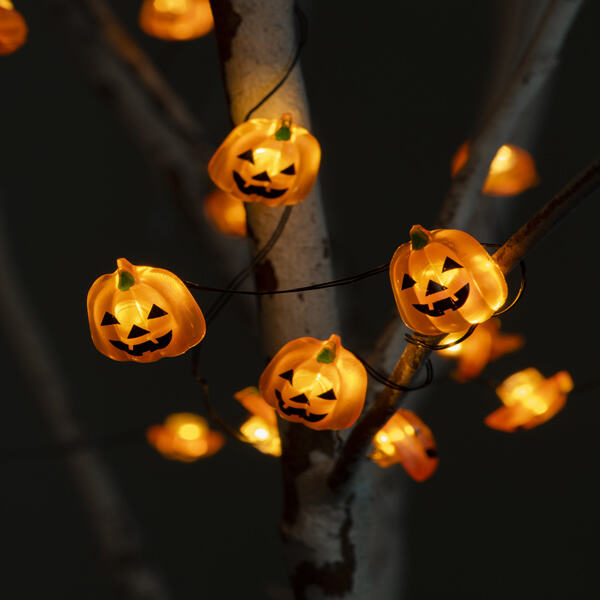 Effortlessly brighten up any occasion with battery-operated fairy lights