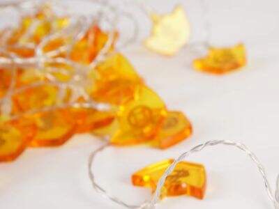 What to Look for in Fairy Lights Decoration Manufacturers