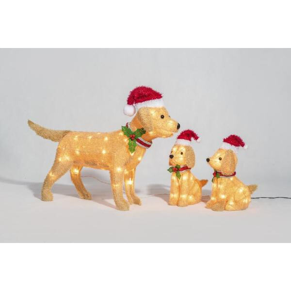 Transform your living space with our carefully curated selection of home decor lights