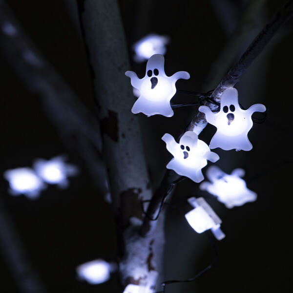 Add a touch of whimsy to your decor with indoor fairy lights