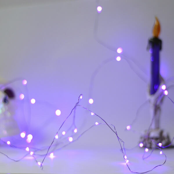 Spread holiday cheer with colorful and sparkling Xmas fairy lights