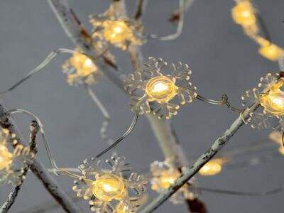 What Makes DONGHONG Outdoor Christmas Lights Manufacturers Unique