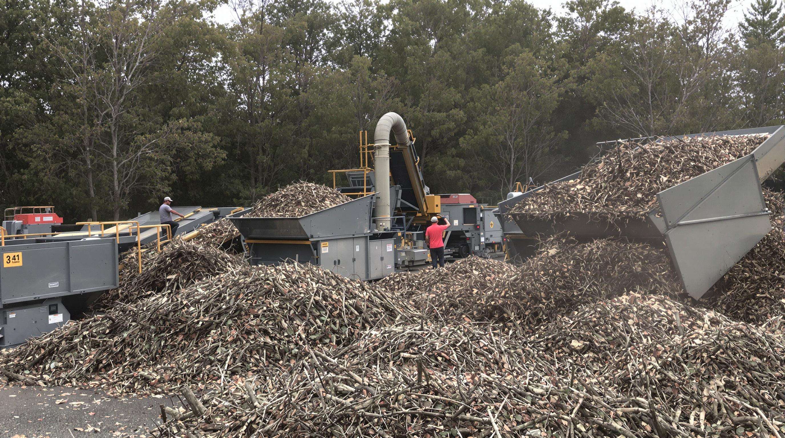 Branch shredders processing piles of branches into mulch at a municipal facility