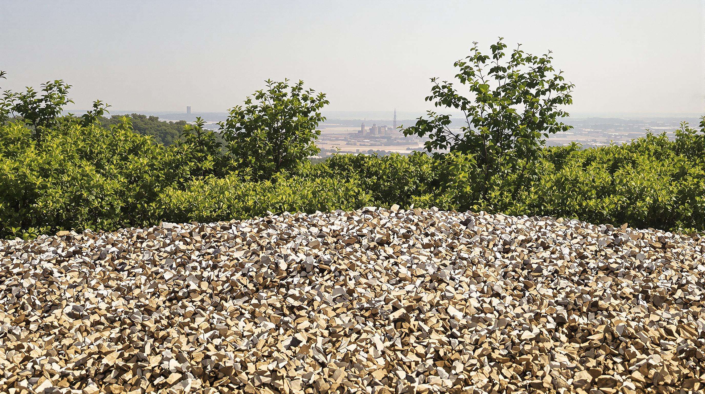 Chipped mulch on soil with green plants and distant landfill, illustrating environmental benefits