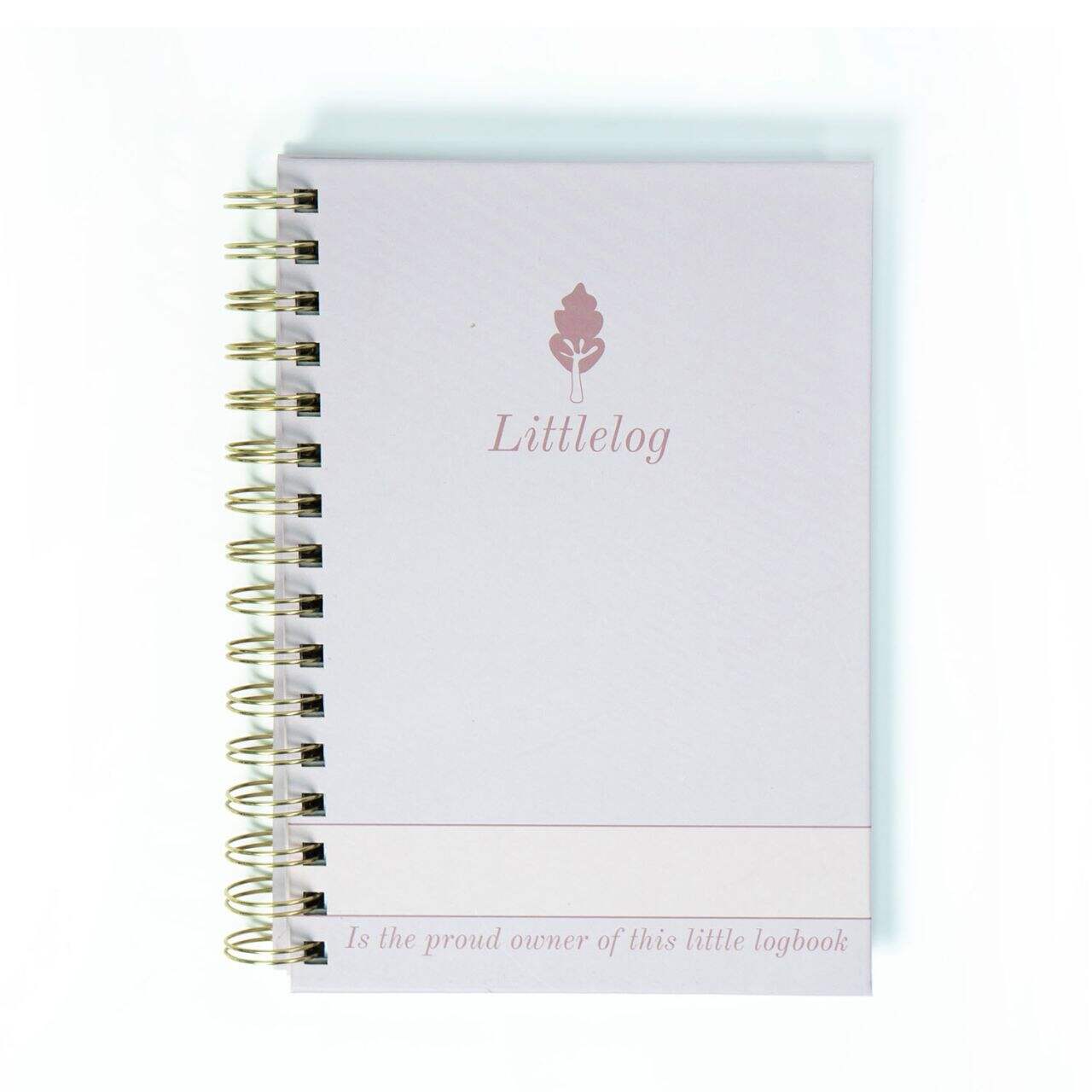 "best goal setting diary for success