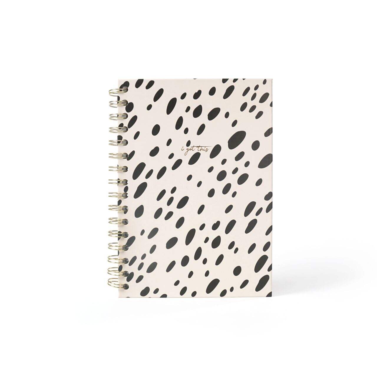 What features should I look for in a goal setting notebook?