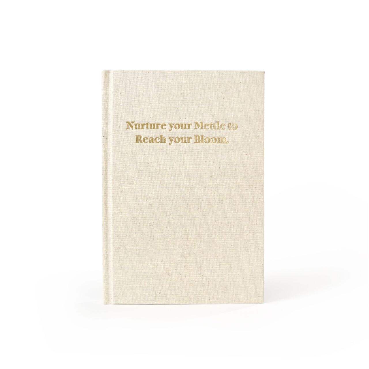 Trending searches for undated journal planners