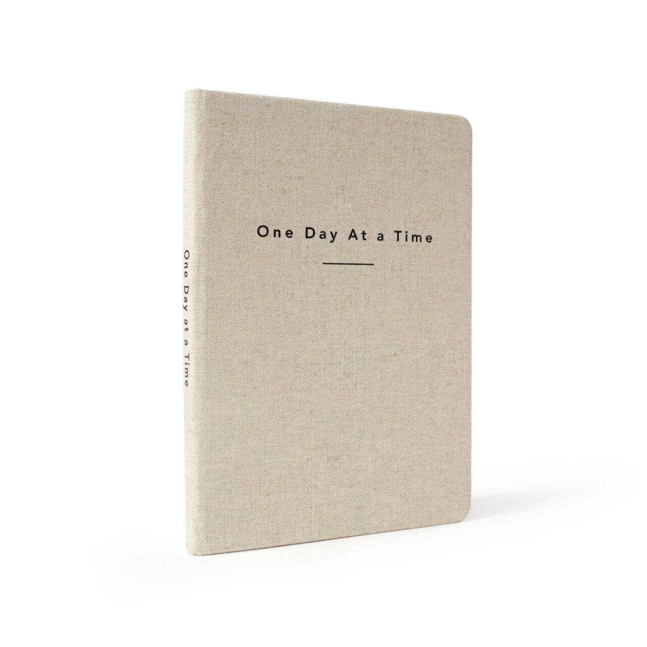 Best daily diary notebook for professionals