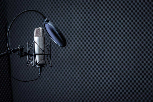 China Manufacturer Full-frequency Acoustic Panel High Quality Acoustic Diffuser Sound Absorption Low-frequency supplier