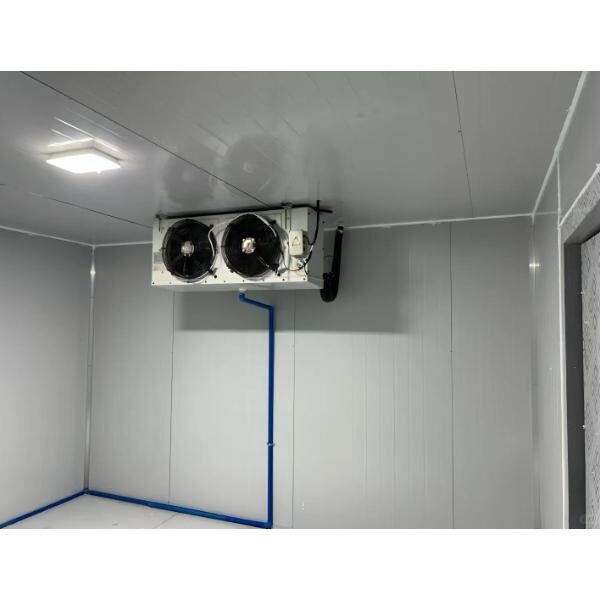 The science behind walking in a cold chamber