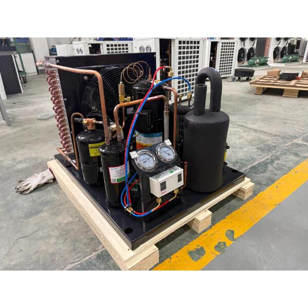 حل المشكلات في وحدات تكثيف ثلاجات المشي: المشكلات الشائعة