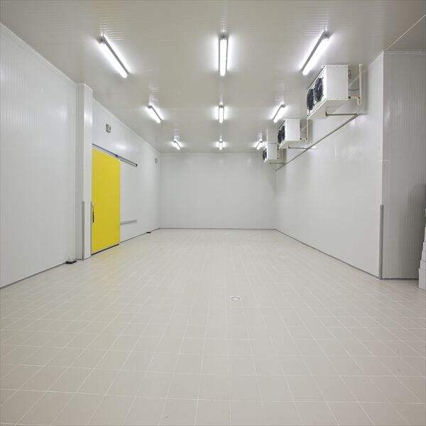 Advantages of Blast Freezer Room Rentals for Expanding Enterprises