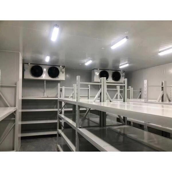 Menjaga Suhu yang Tepat di Ruang Penyimpanan Pendingin Anda